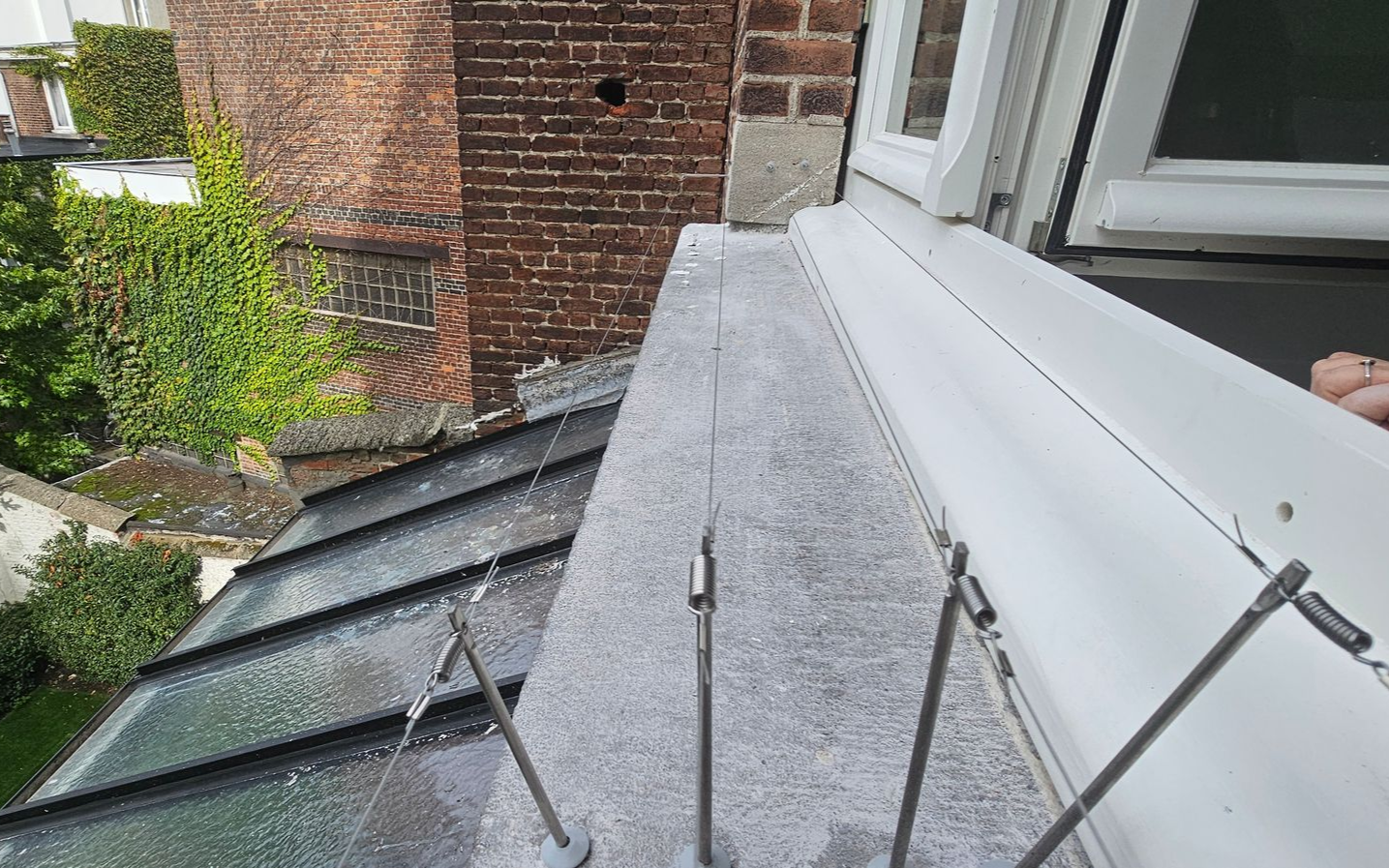 bird-wire op vensterbank geplaatst in Vlaams-Brabant