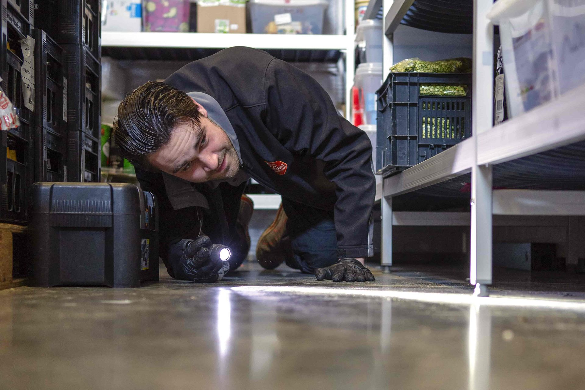 Inspectie van de muizen