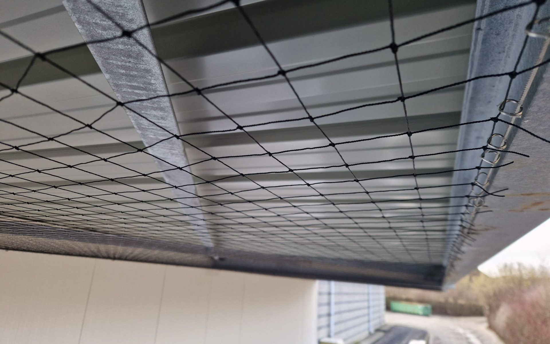 plaatsen van vogelweringsnetten tegen duiven en kauwen onder laad en loszones