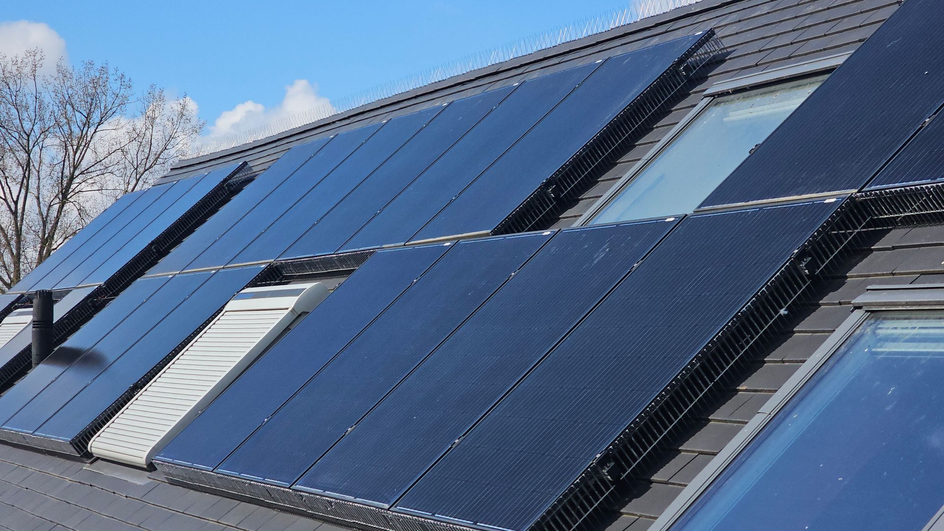 plaatsen van een professionele vogelwering voor zonnepanelen tegen duiven en kauwen