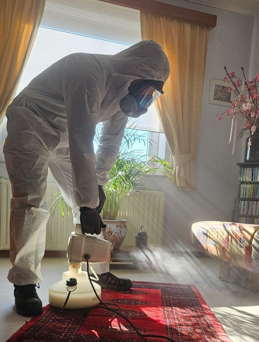 professionele bedwantsbestrijding Limburg door Killbugs