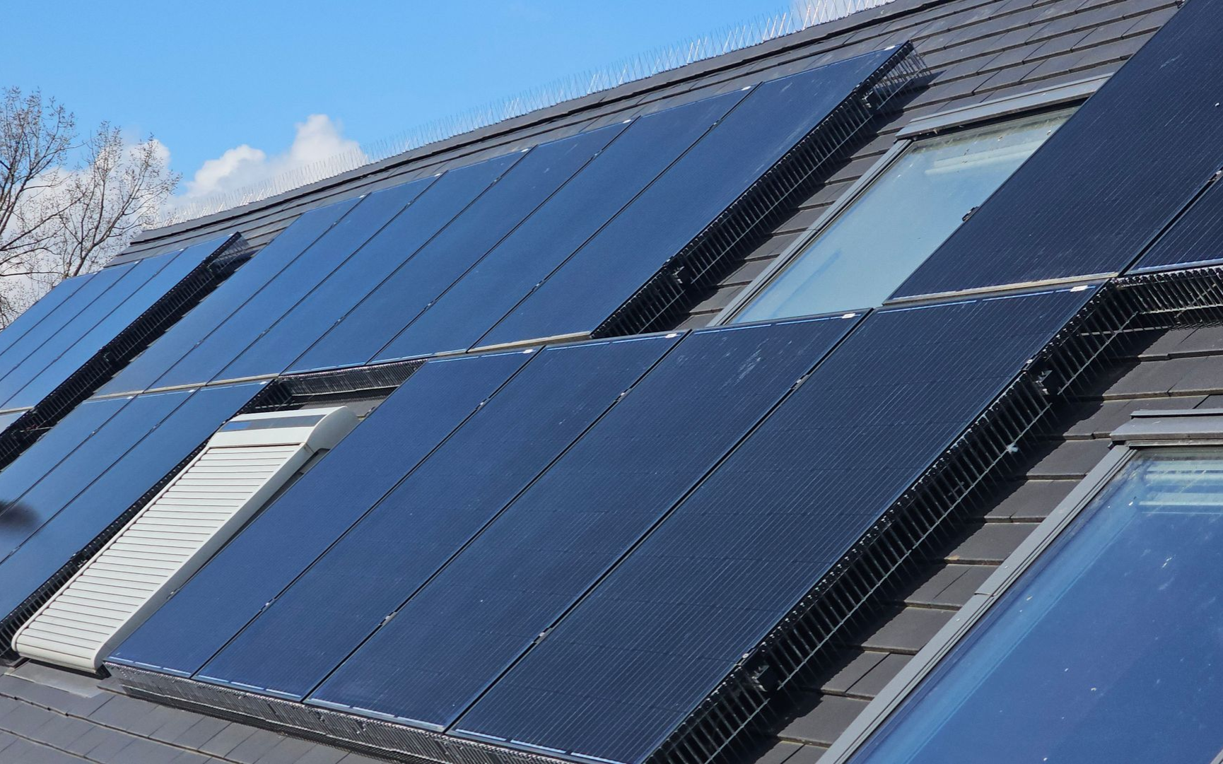 professionele vogelwering voor zonnepanelen tegen duiven en kauwen in Vlaams-Brabant