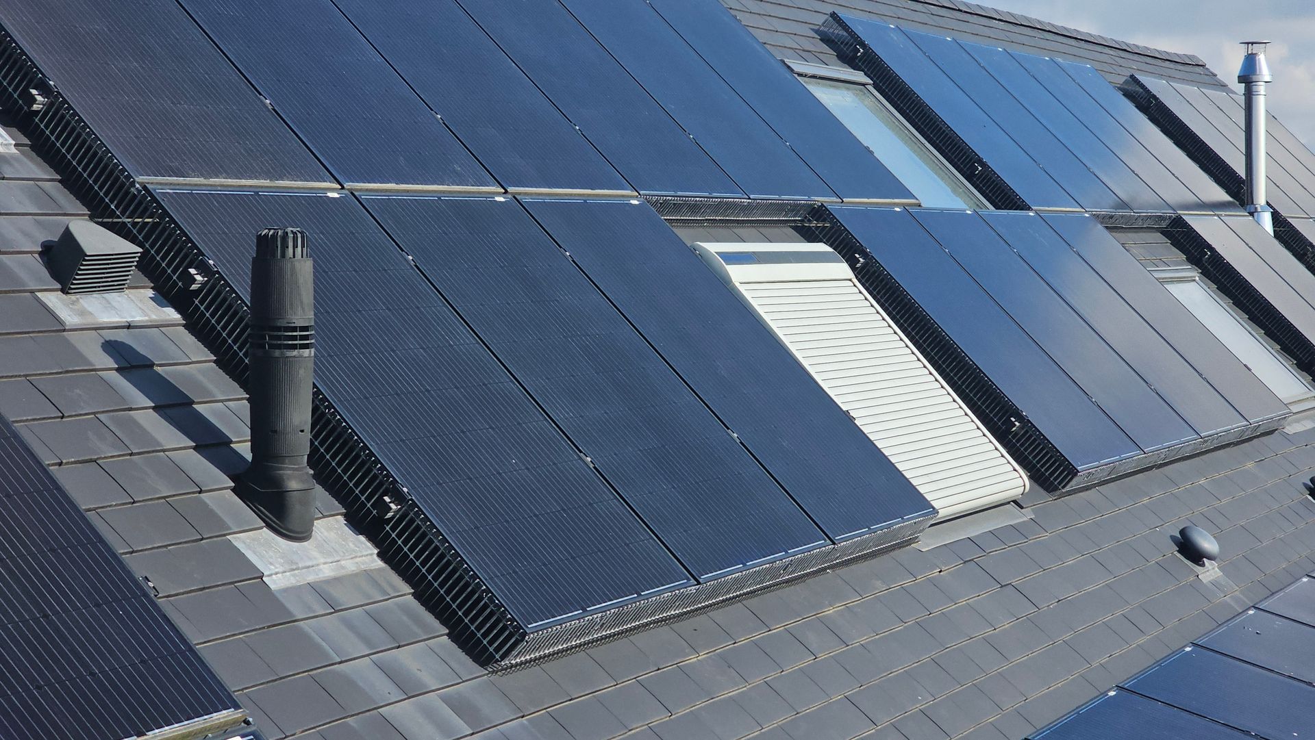 oplossing tegen duiven en kauwen onder zonnepanelen