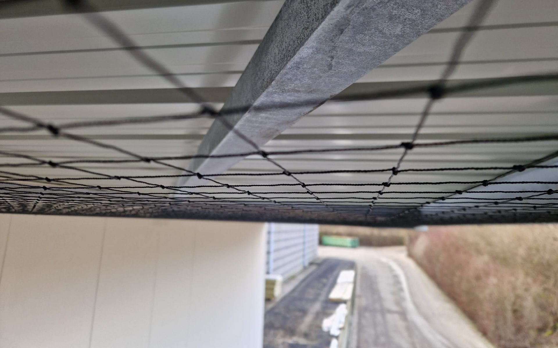 plaatsen van vogelweringsnetten in Antwerpen
