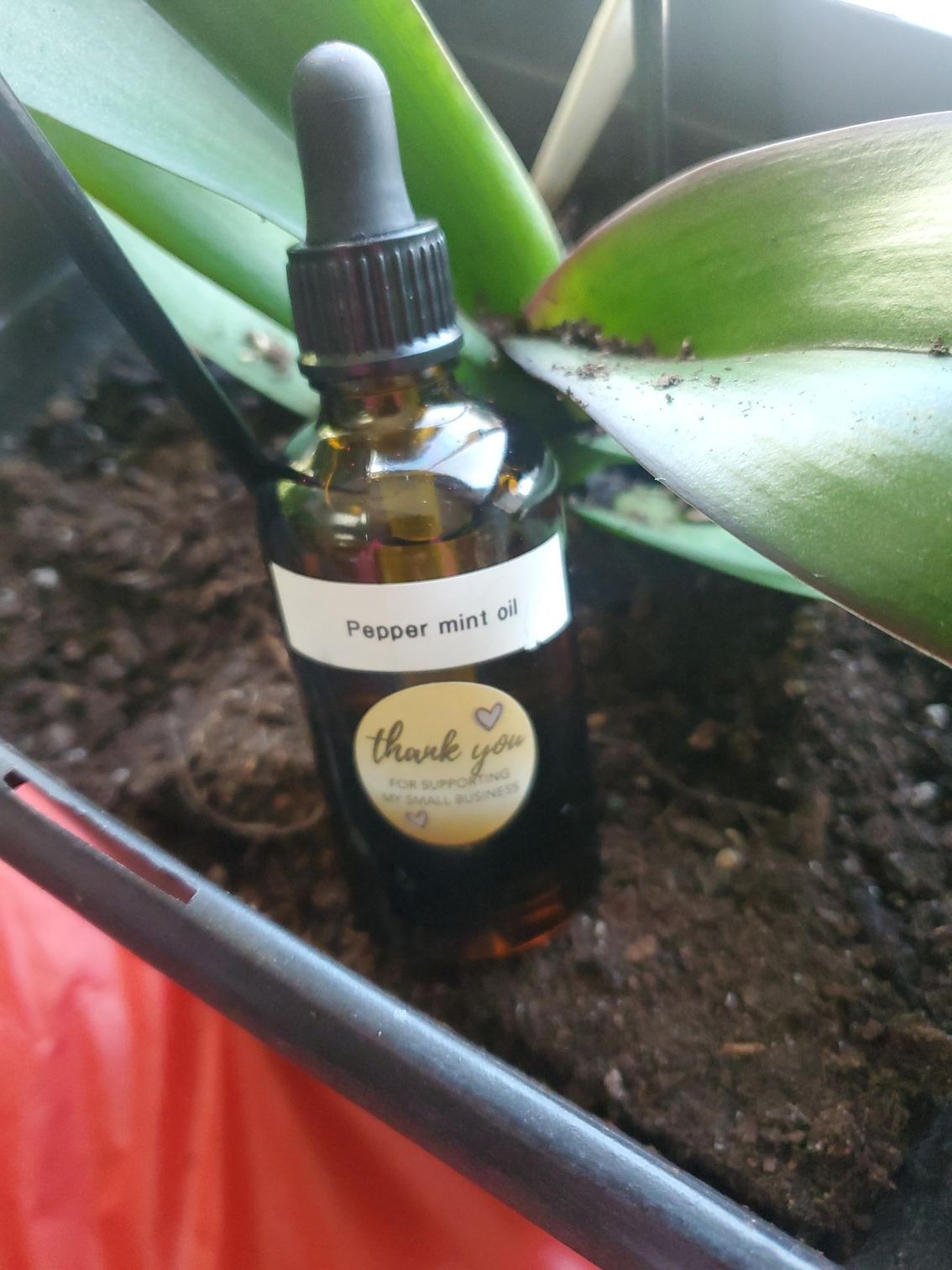 Essential Peppermint oil