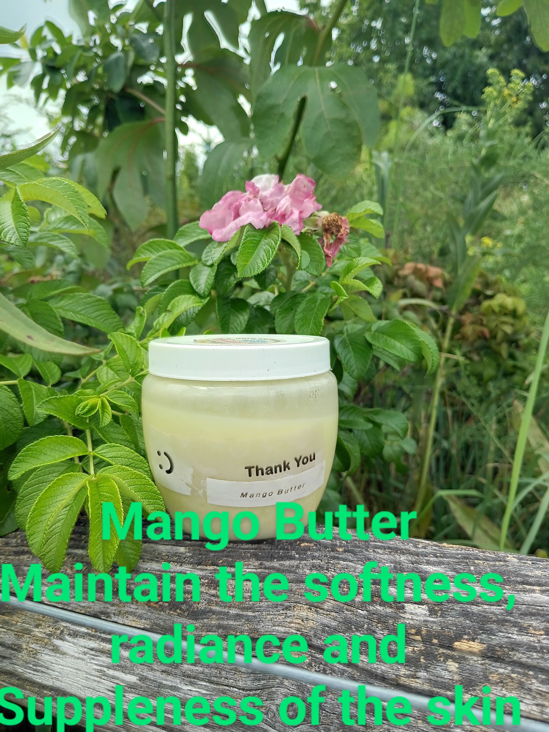 light Mango butter