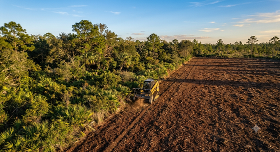 Aerial view of a plowed field beside dense green trees under warm sunlight.
