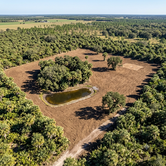 Aerial view of a dry clearing with a small pond surrounded by dense green forest.