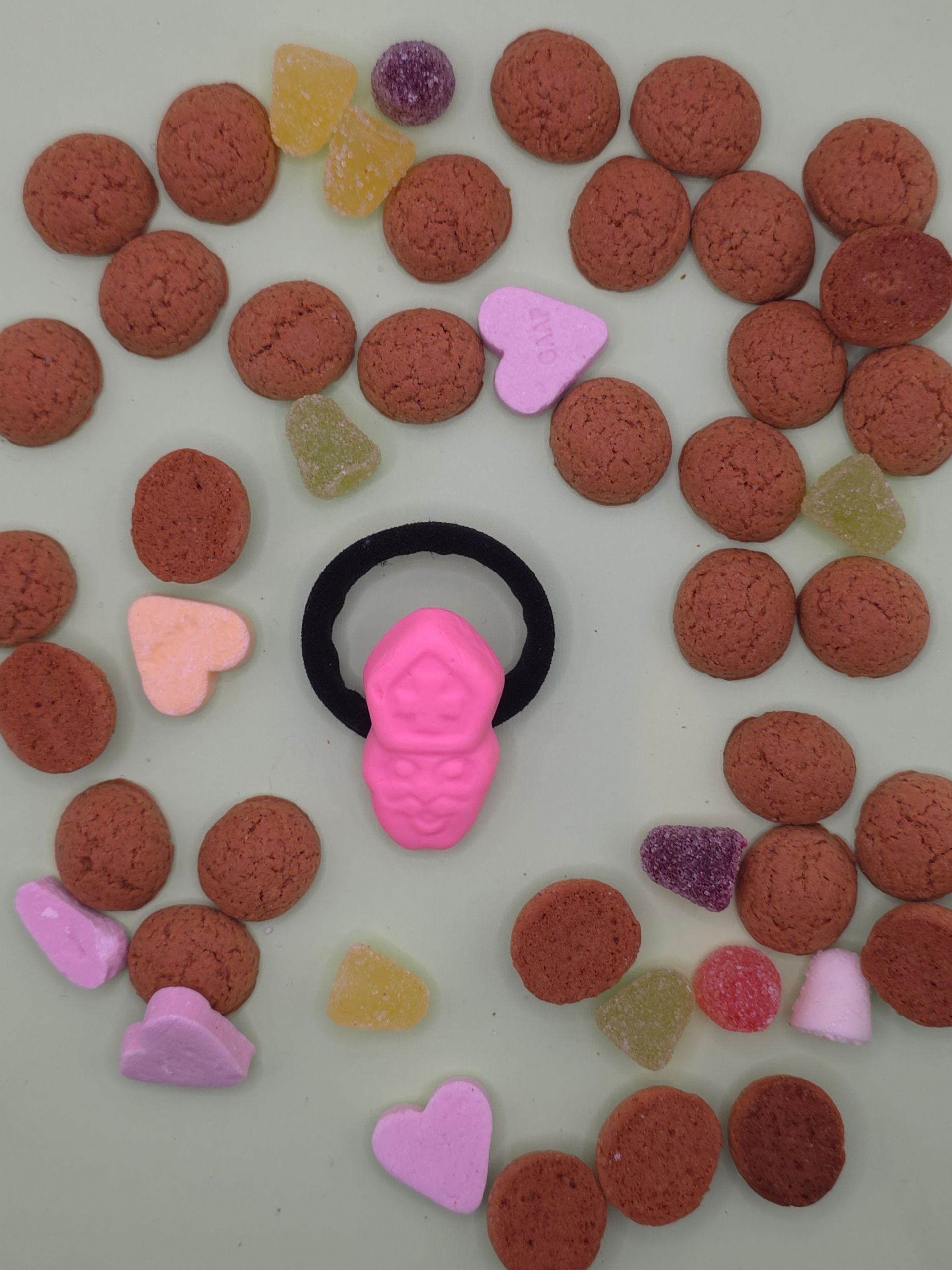 Diverse huisdierensnoepjes in een cirkel gerangschikt rond een zwarte ring en een roze speeltje op een lichte ondergrond.