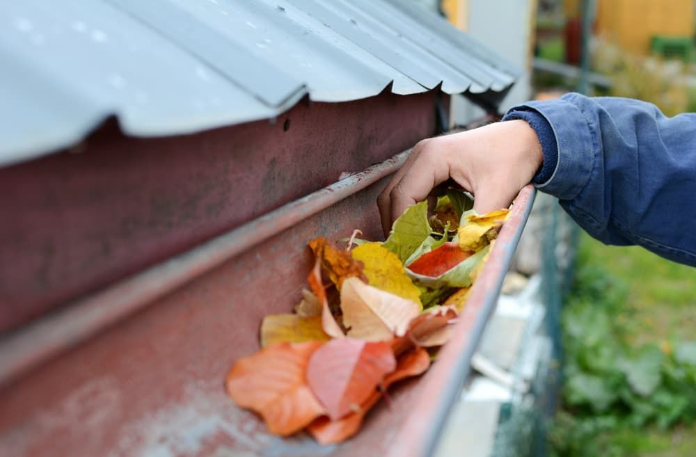 Hand placing colorful autumn leaves into a rain gutter beside a house roof