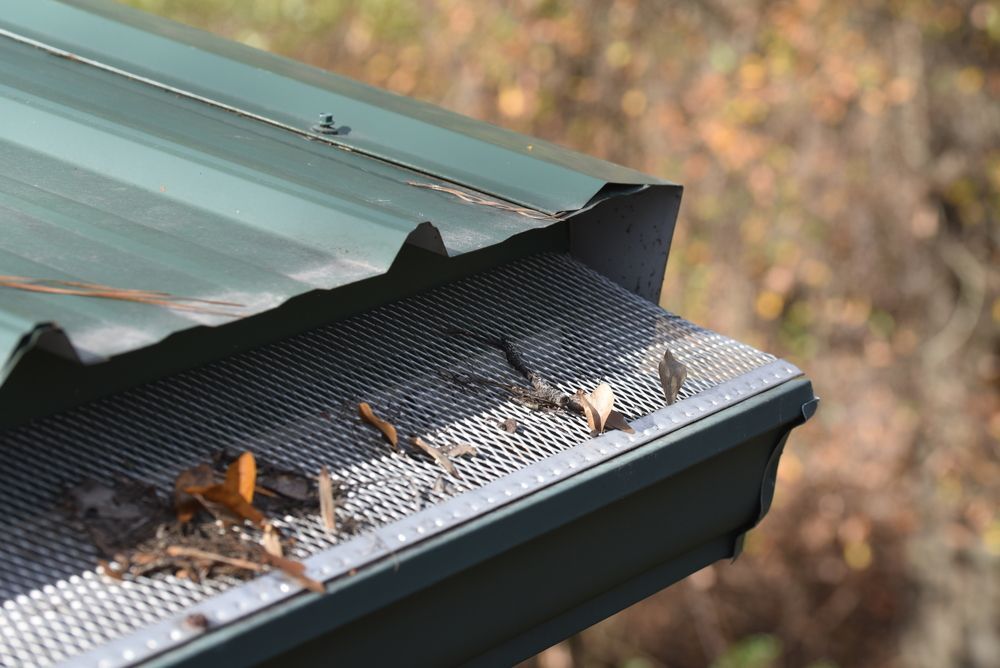 Close-Up of A Metal Roof Gutter with Leaves and Debris — TK Guttercleaning in Hamlyn Terrace, NSW