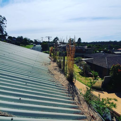 Rooftop with green corrugated metal, overlooking houses and trees under a bright sky