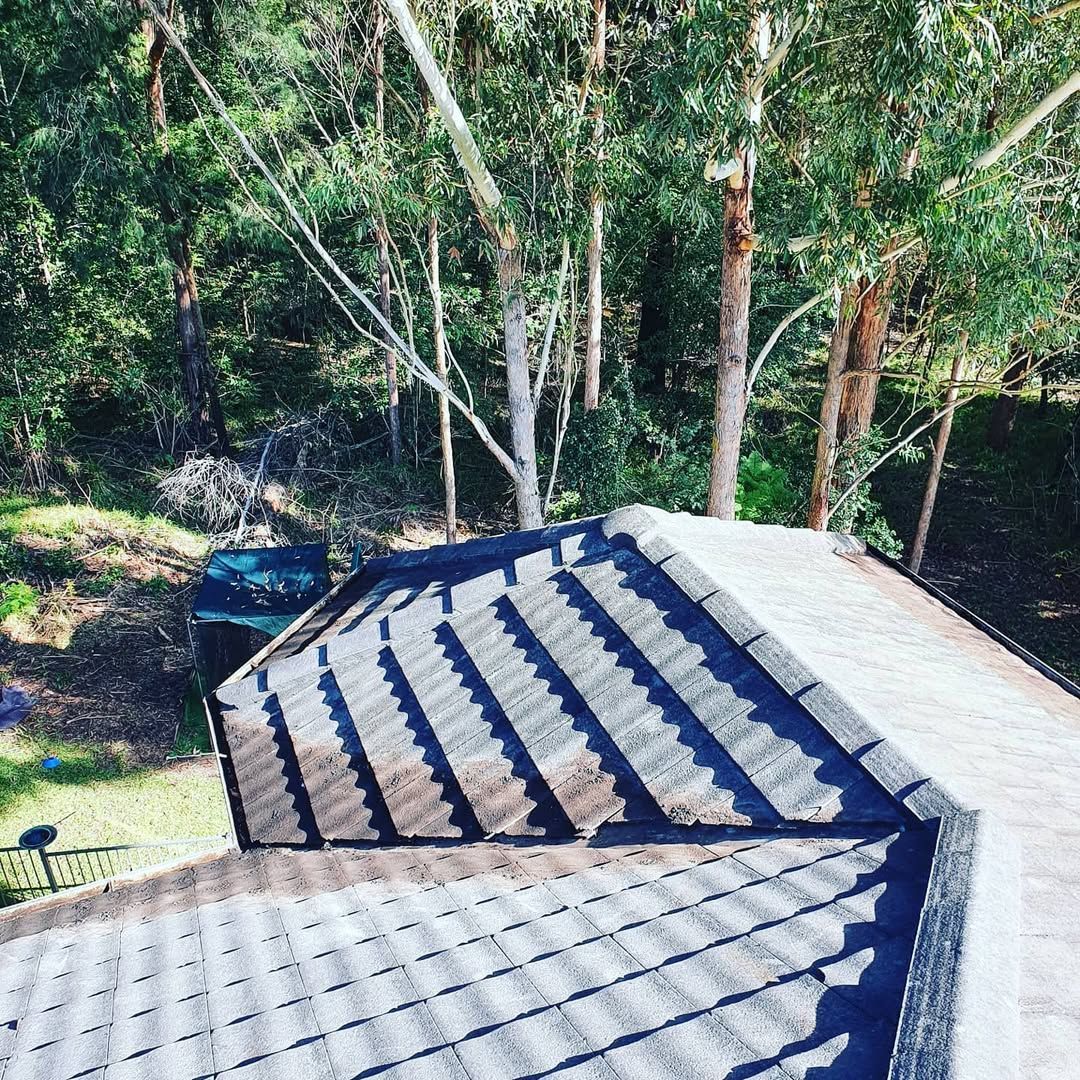 A Roof With a Staircase Leading Up to It and Trees in the Background — TK Guttercleaning in Hamlyn Terrace, NSW