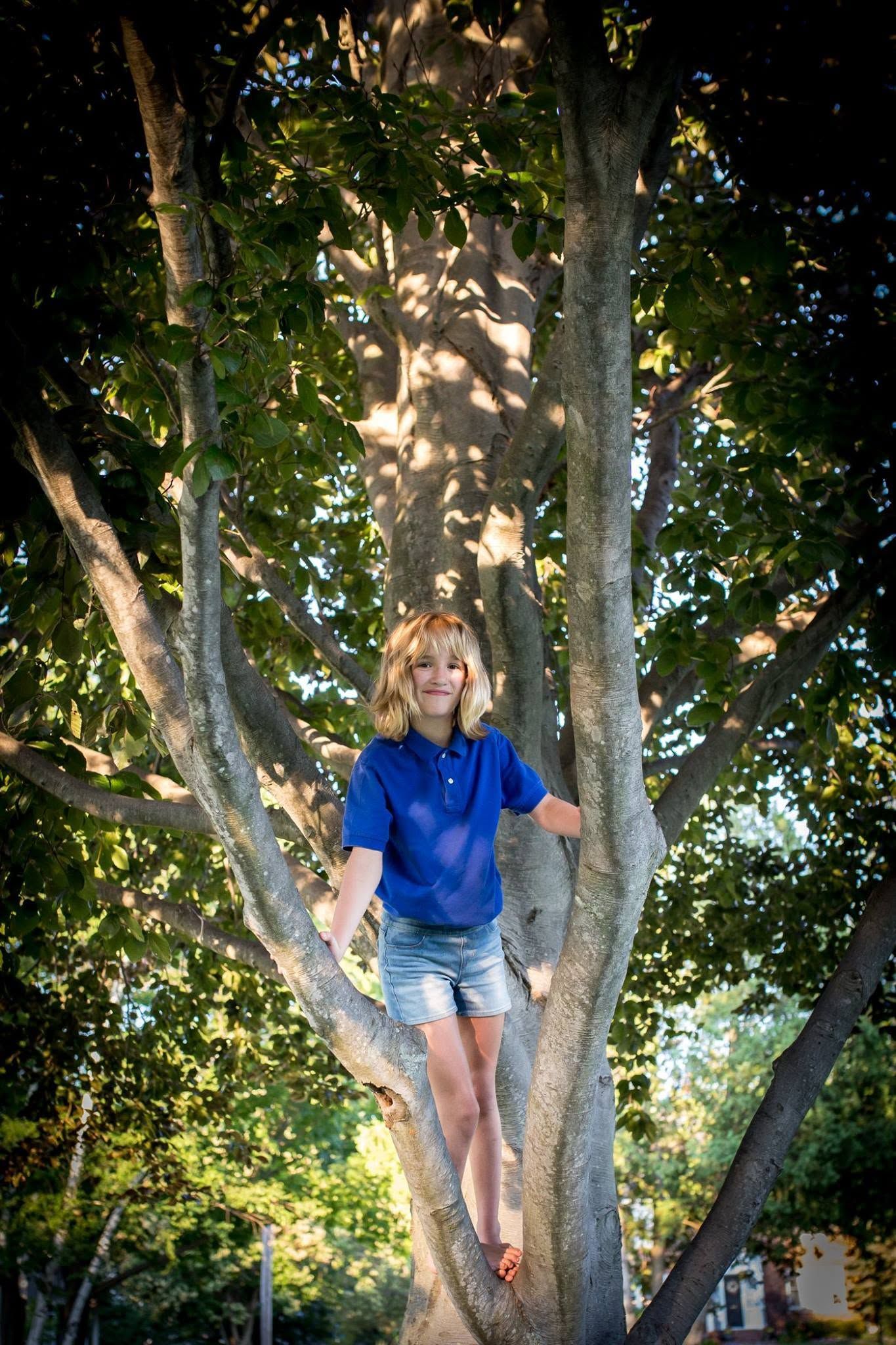 Person in a blue shirt and denim shorts standing in a large tree outdoors, arms outstretched.