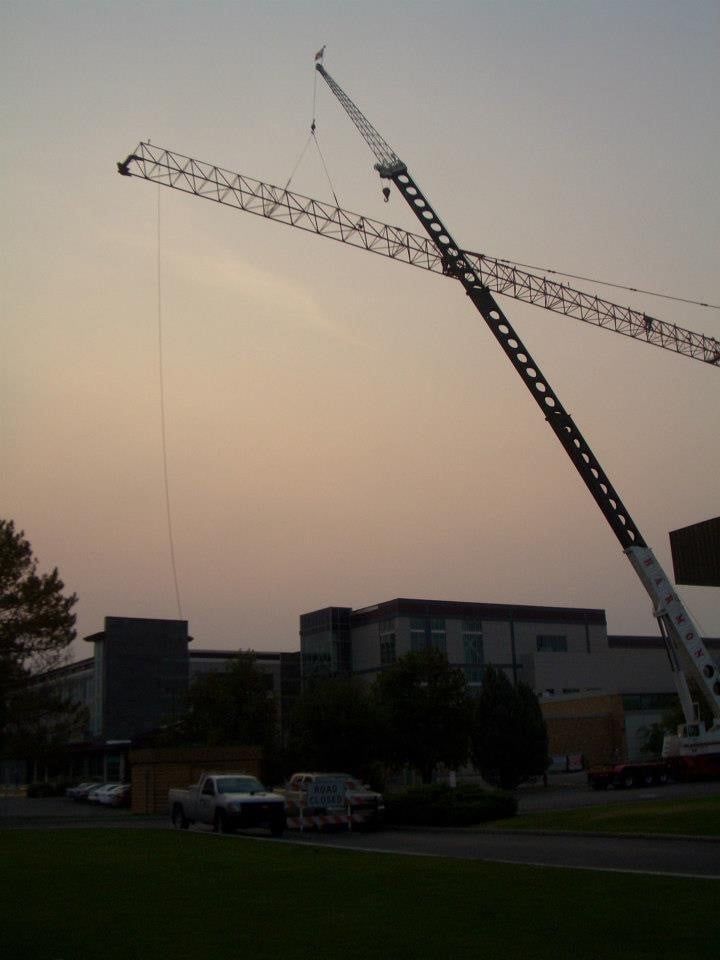 Crane against skyline