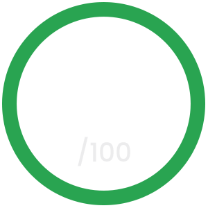 Green circular progress ring with faint “/100” text in the center