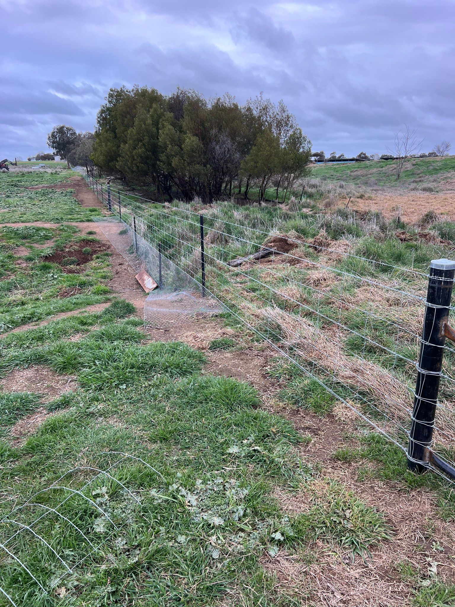 There is a fence in the middle of a field with trees in the background.