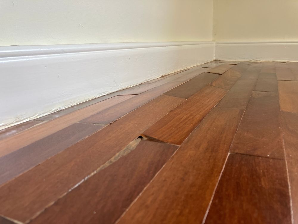 Close-up of buckled and detached wood flooring planks along a white baseboard in a room.