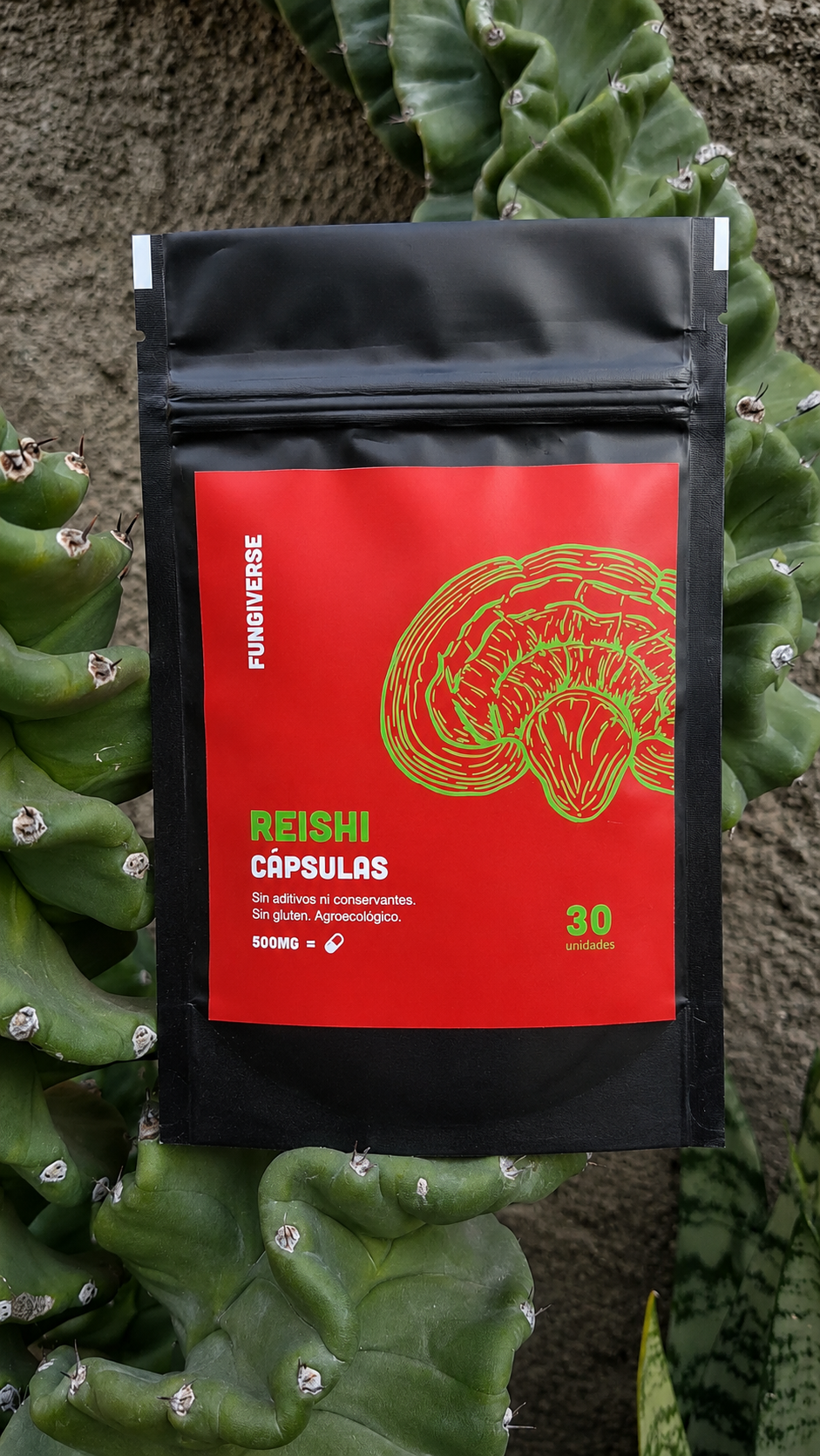 Bolsa negra resellable con etiqueta roja y verde sobre una planta de cactus.