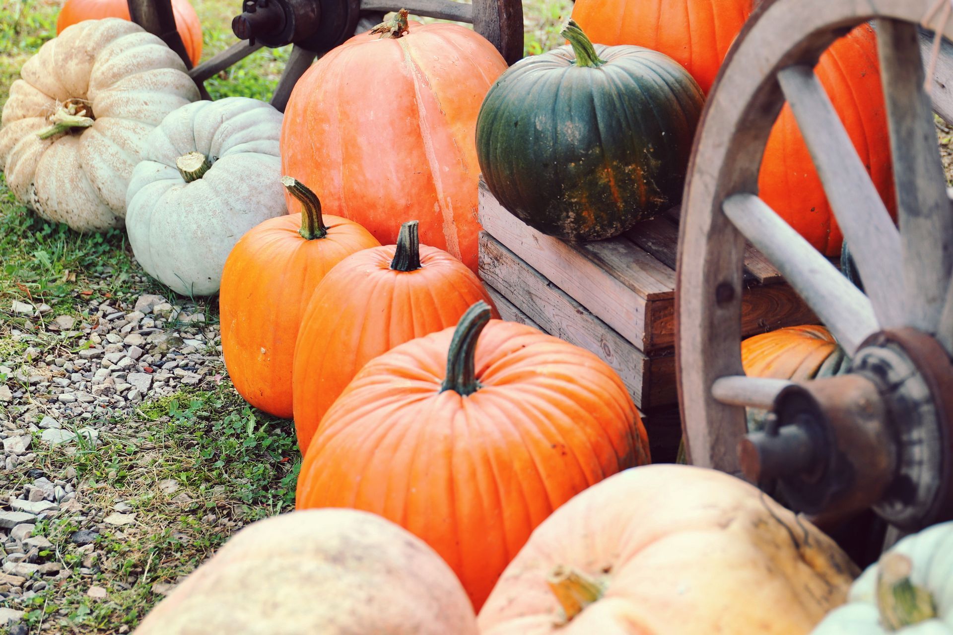 Orange and pale pumpkins beside a rustic wagon wheel on a farm stand