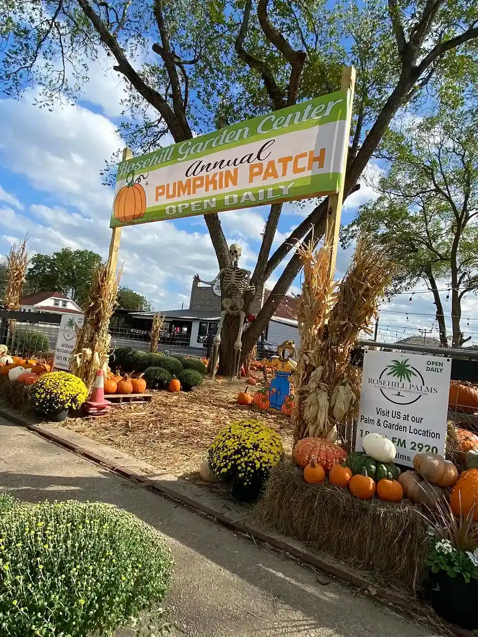 Pumpkin patch entrance sign with pumpkins, flowers, and autumn decor along a path