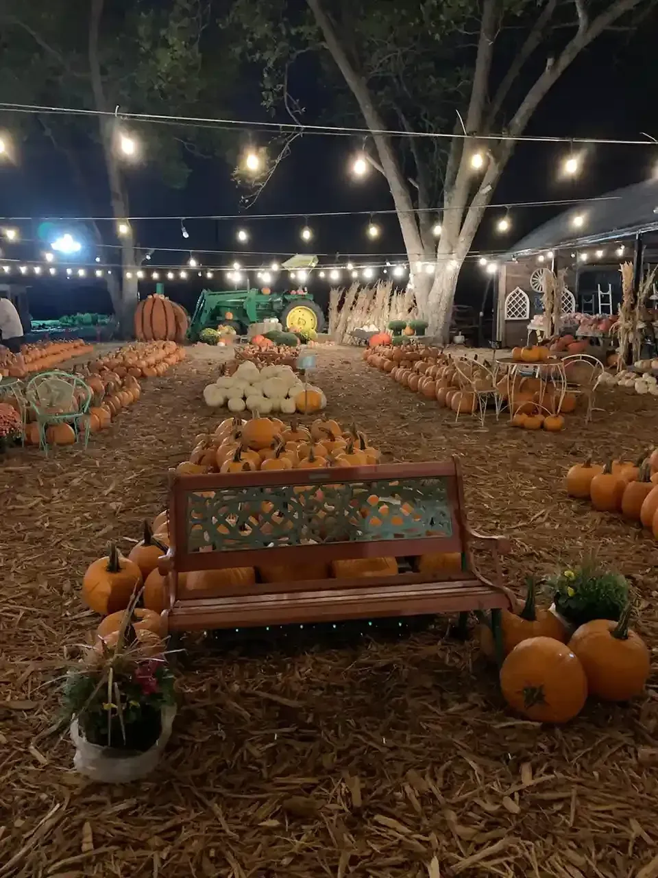 Pumpkin display at night with string lights, hay, and a wooden bench in a decorated outdoor garden.