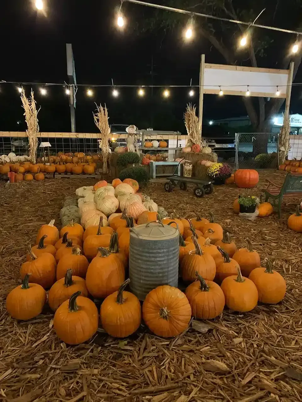 Pumpkin display at a farm stand under string lights, with hay bales and a cart in the background.