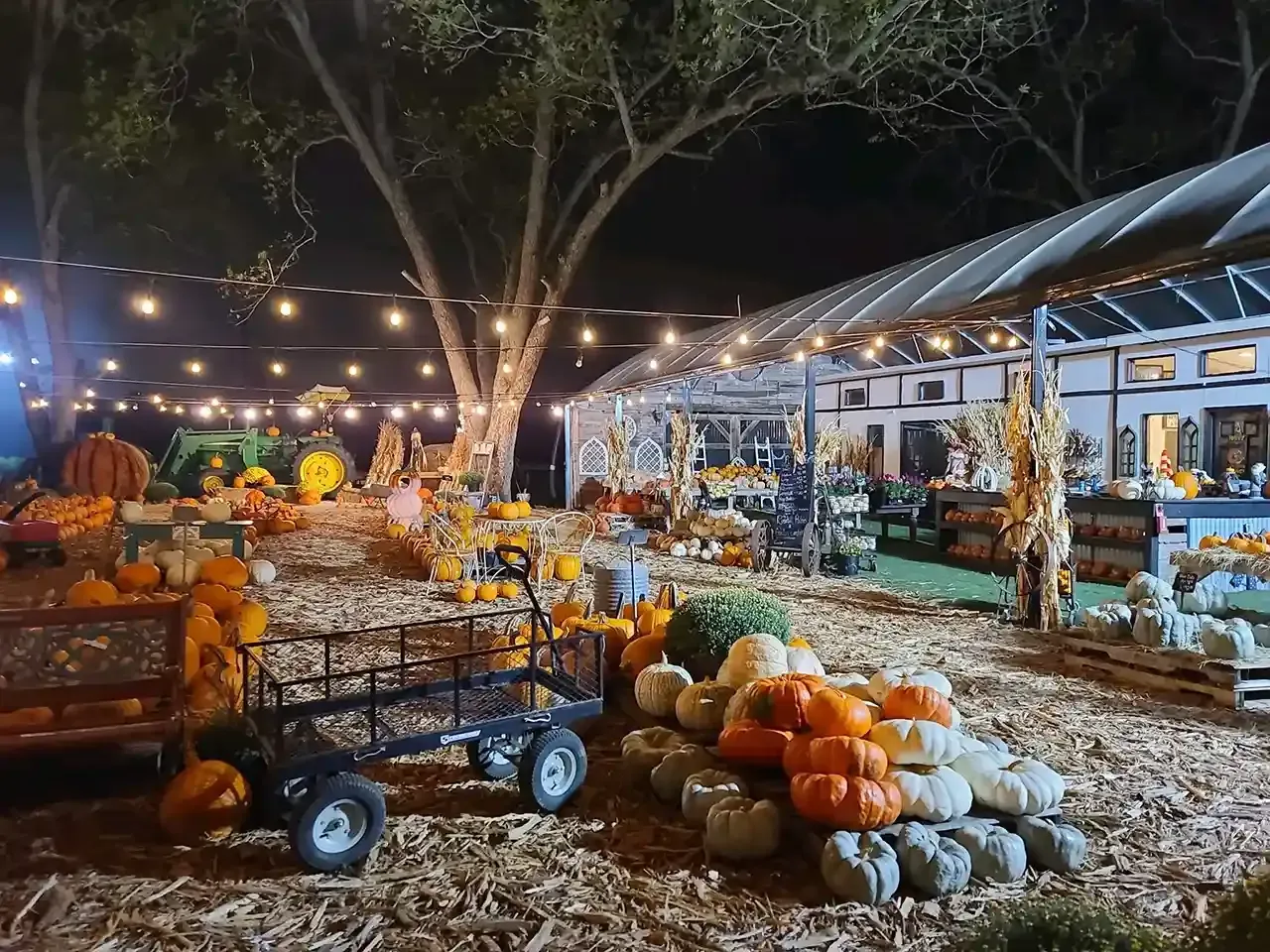 Nighttime pumpkin patch with wagon, stacked gourds, string lights, and a barn-like market stall