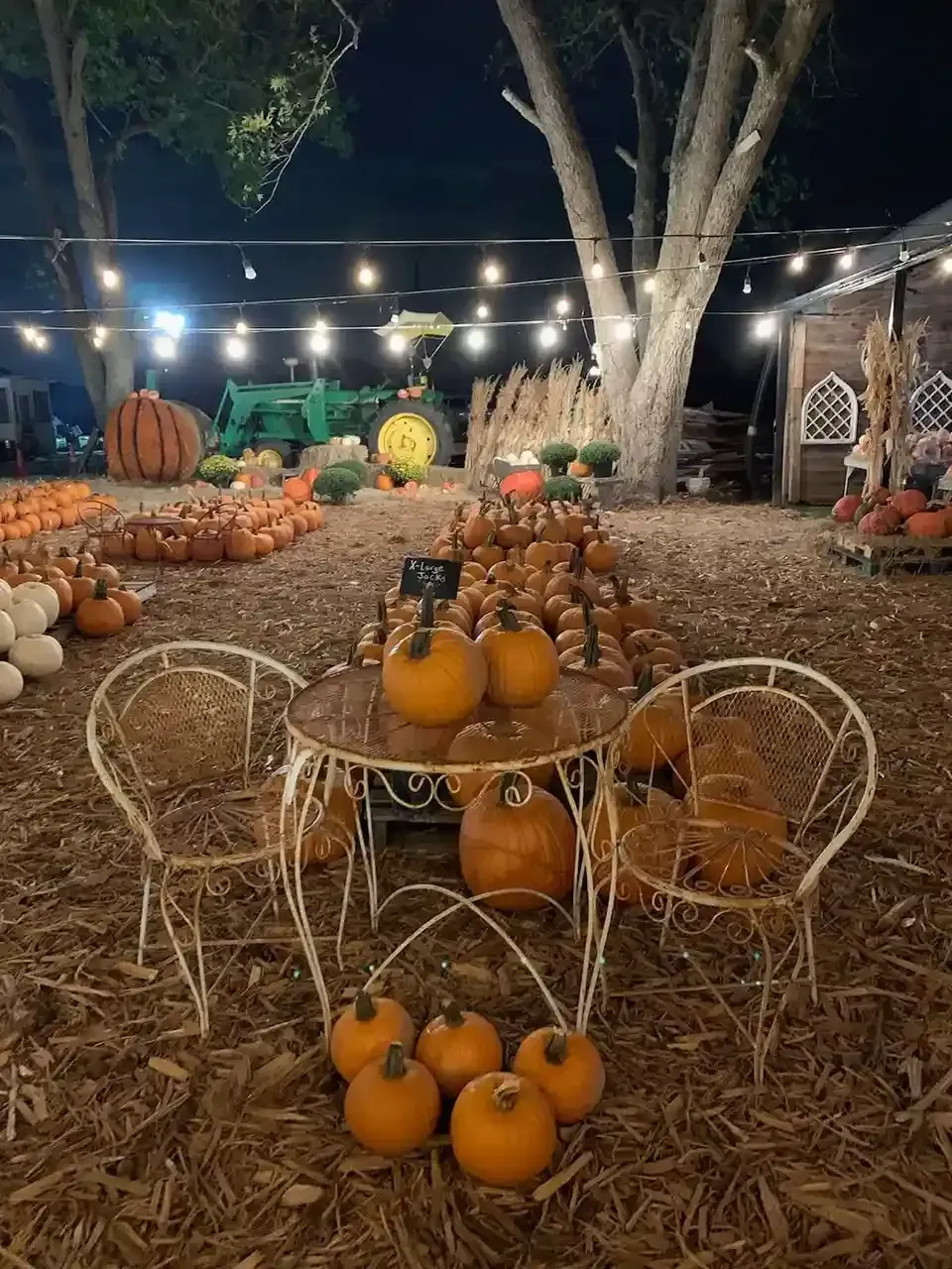 Pumpkin display at night with string lights, white chairs, and a tree in a rustic outdoor setting