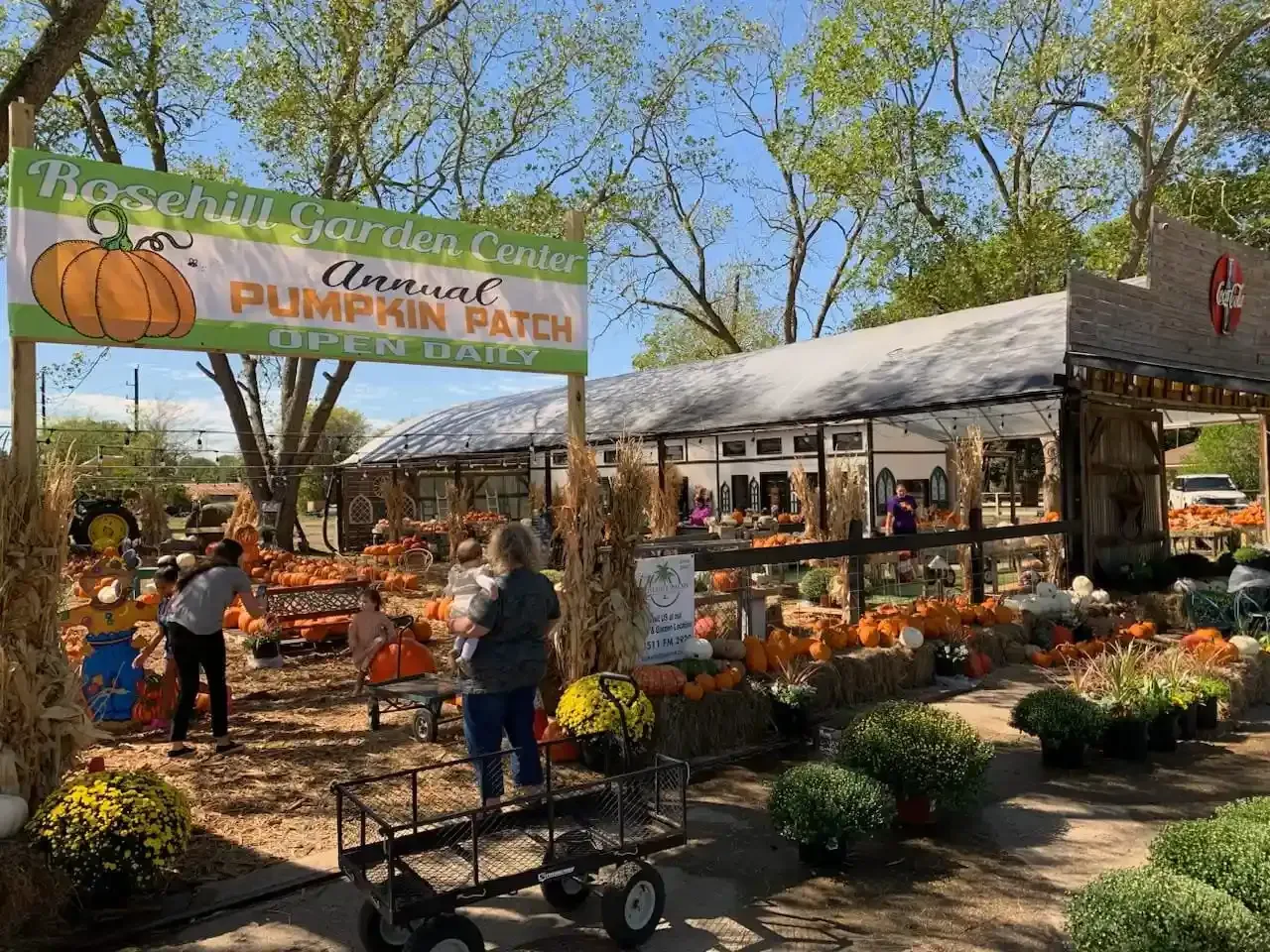 Outdoor pumpkin patch market with pumpkins, flowers, and shoppers under tents