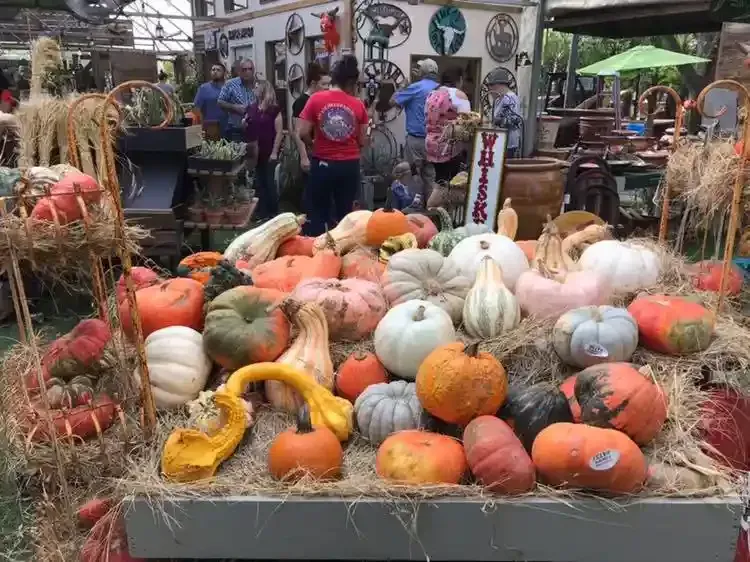 Pumpkins and gourds are piled in a market stall with shoppers and colorful decorations in the background