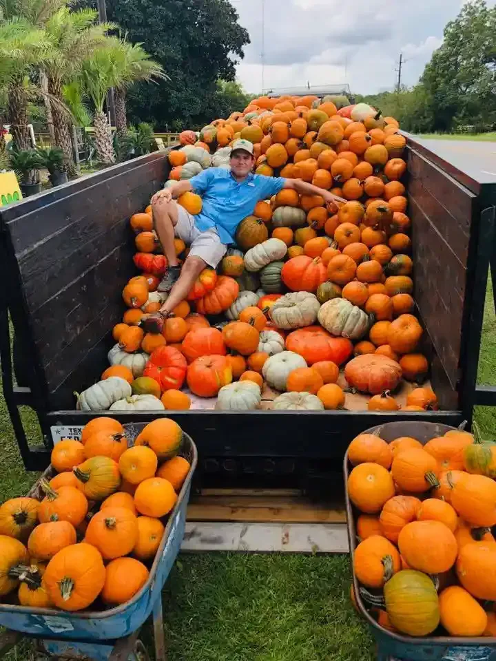 Person in blue shirt lying among pumpkins in a truck bed, with pumpkins piled around and in crates nearby.