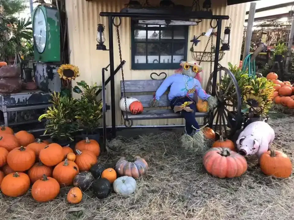 Halloween porch display with pumpkins, hay bales, a scarecrow, and a pig figurine on the steps