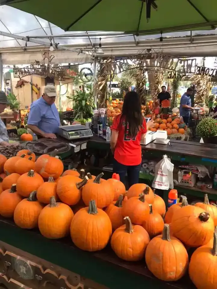Pumpkins are piled at an outdoor market with shoppers and a vendor under a canopy
