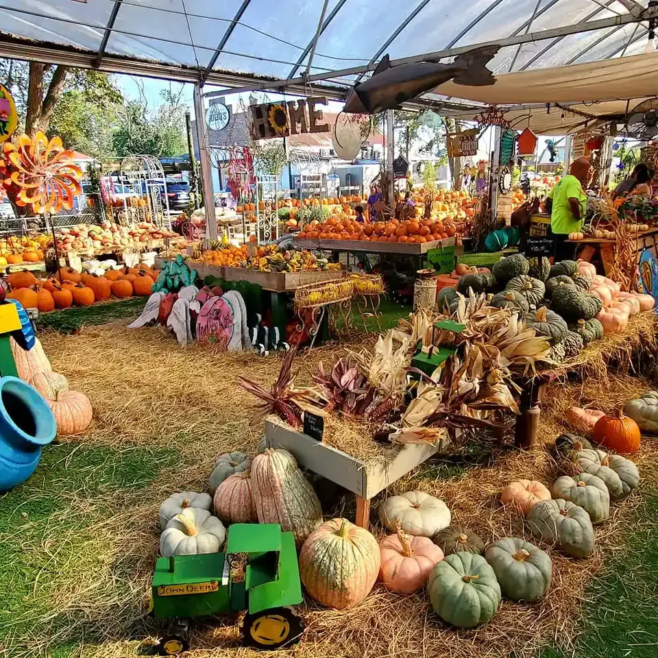 Pumpkin patch market under a canopy, with colorful gourds, hay bales, and autumn decorations