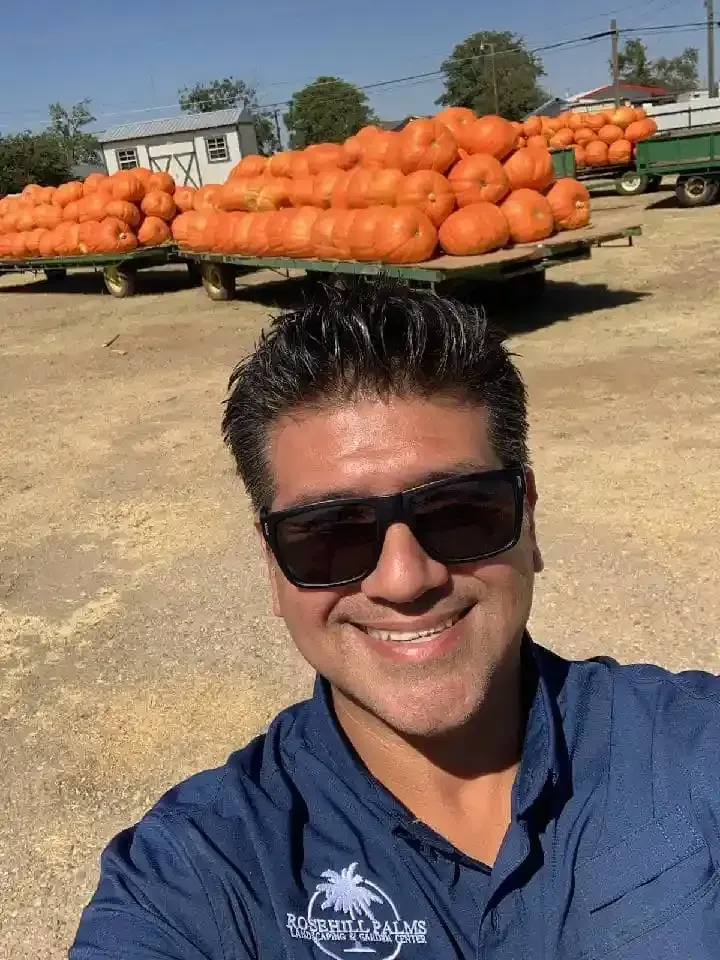 Smiling man in sunglasses taking a selfie with piles of orange pumpkins in the background
