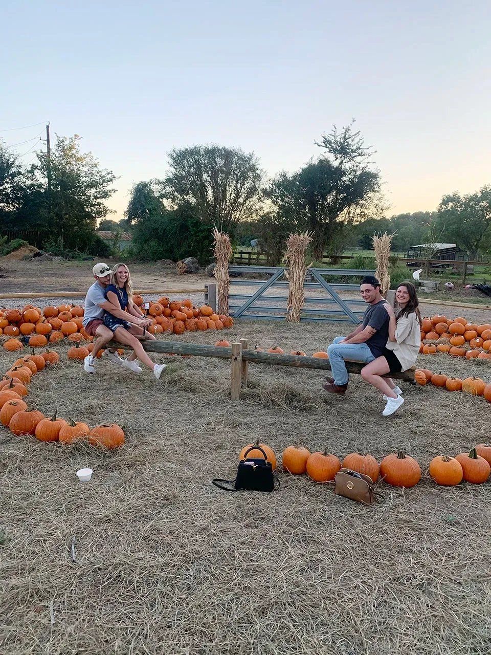 People relaxing in a pumpkin patch at dusk, seated on a wooden bench surrounded by pumpkins.