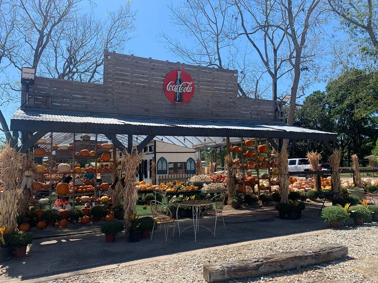 Outdoor garden center storefront with pumpkins and potted plants under a black awning
