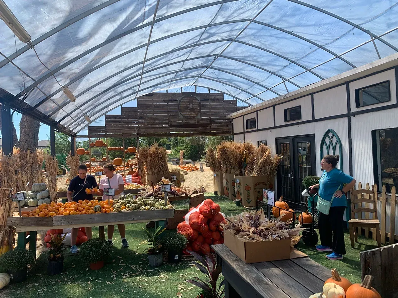 Farm stand under a greenhouse canopy with tables of colorful produce and a person arranging flowers
