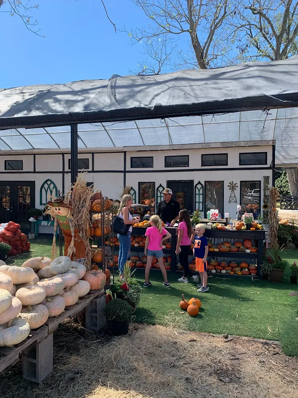 Children at a pumpkin display outside a white farmhouse on a sunny day