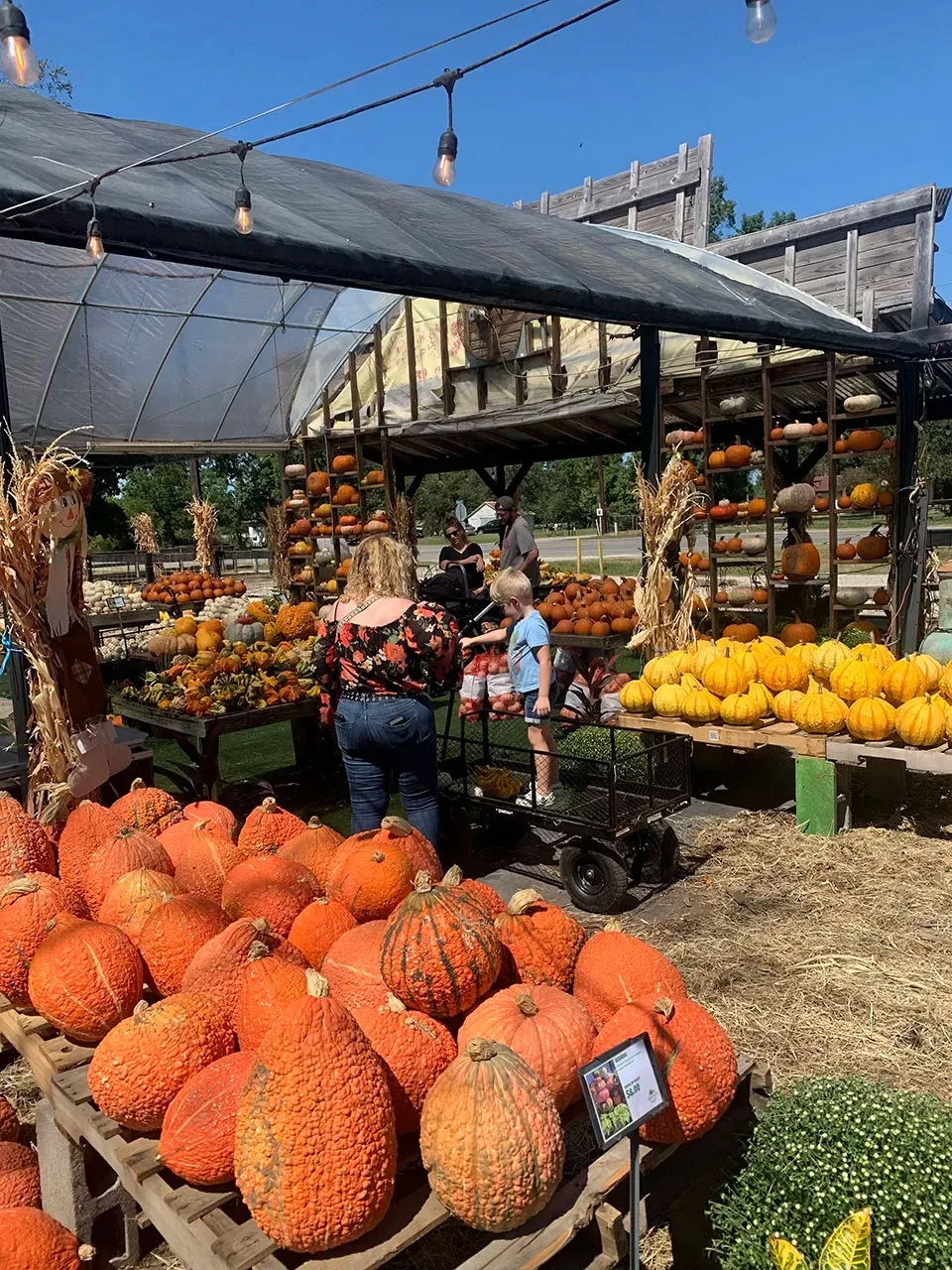 Outdoor fruit stand with piles of orange spiky fruit and yellow melons under a canopy