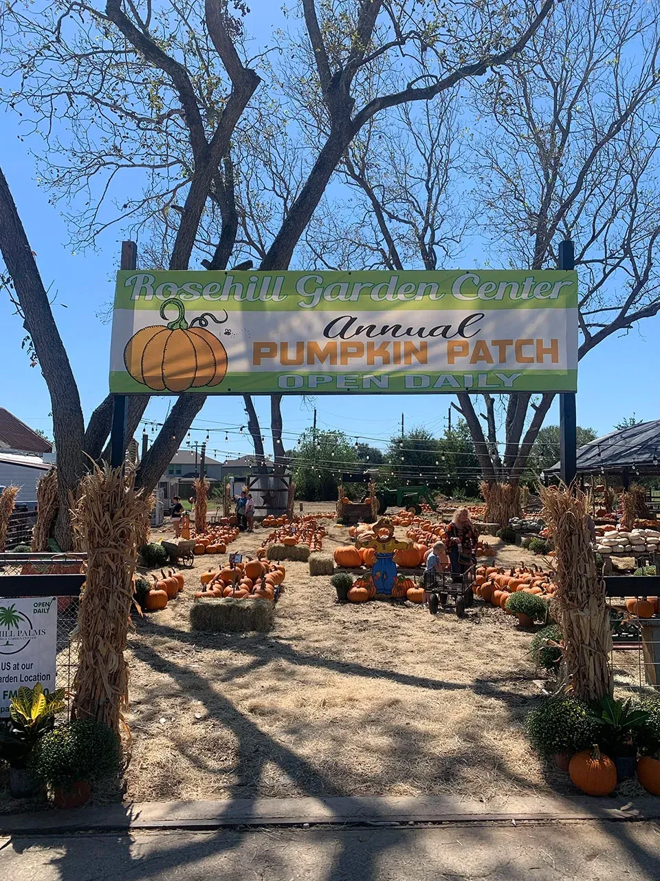 Pumpkin patch entrance with hay bales, potted pumpkins, and a green sign under bare trees.