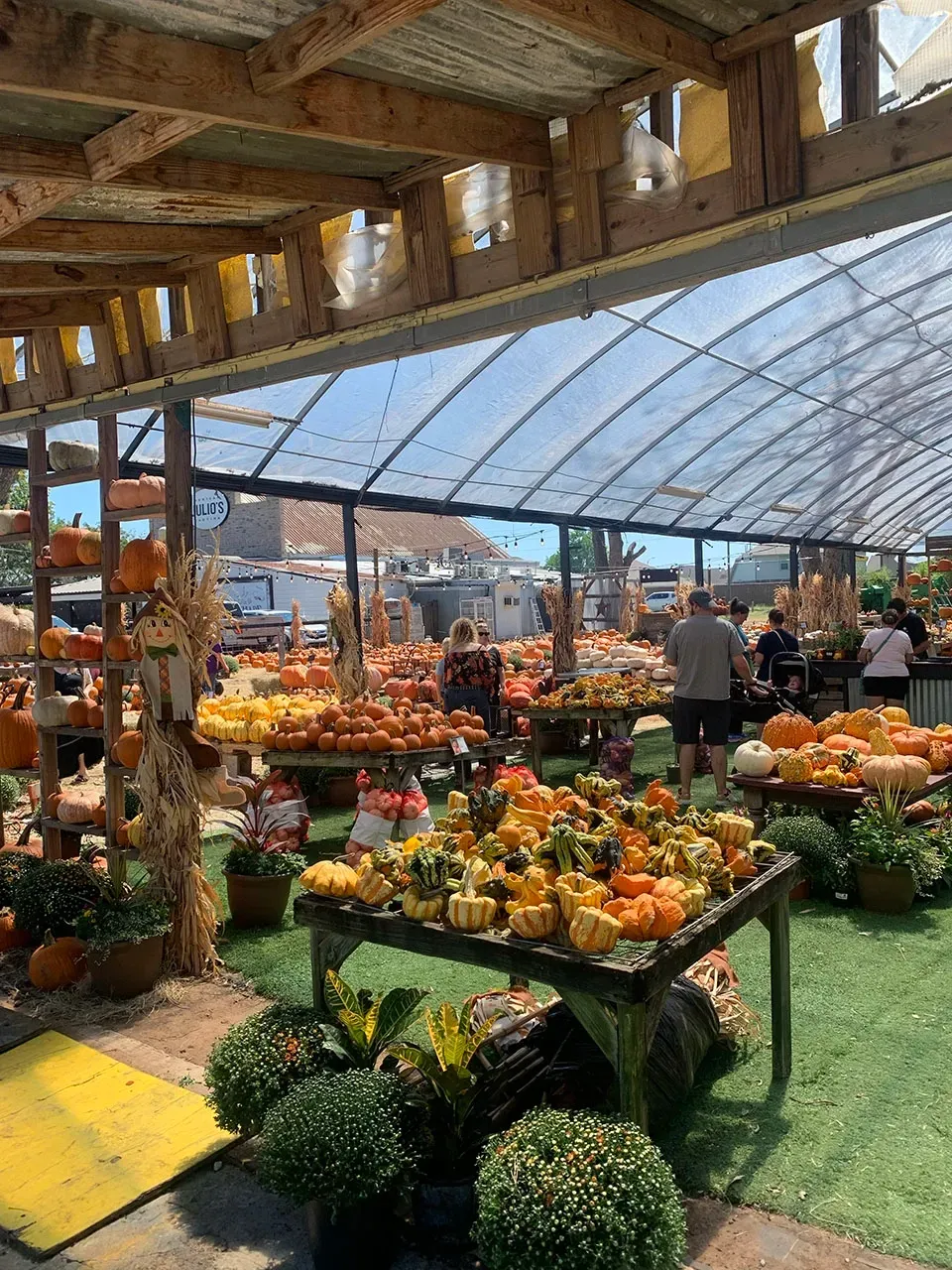Open-air market stall with pumpkins, gourds, and flowers under a wooden roof and glass wall