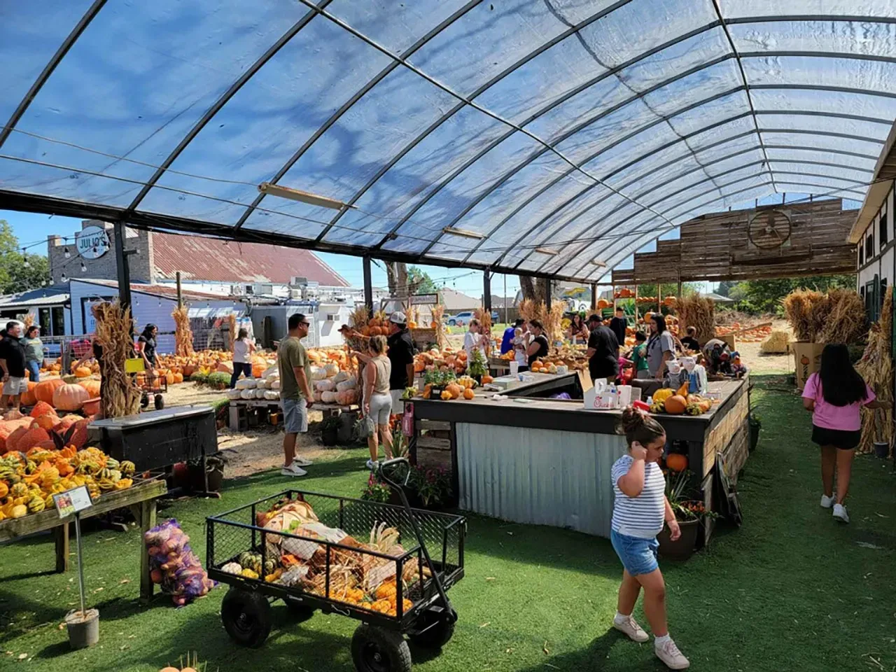 Open-air farmers market under a canopy, with tables of produce and shoppers browsing.