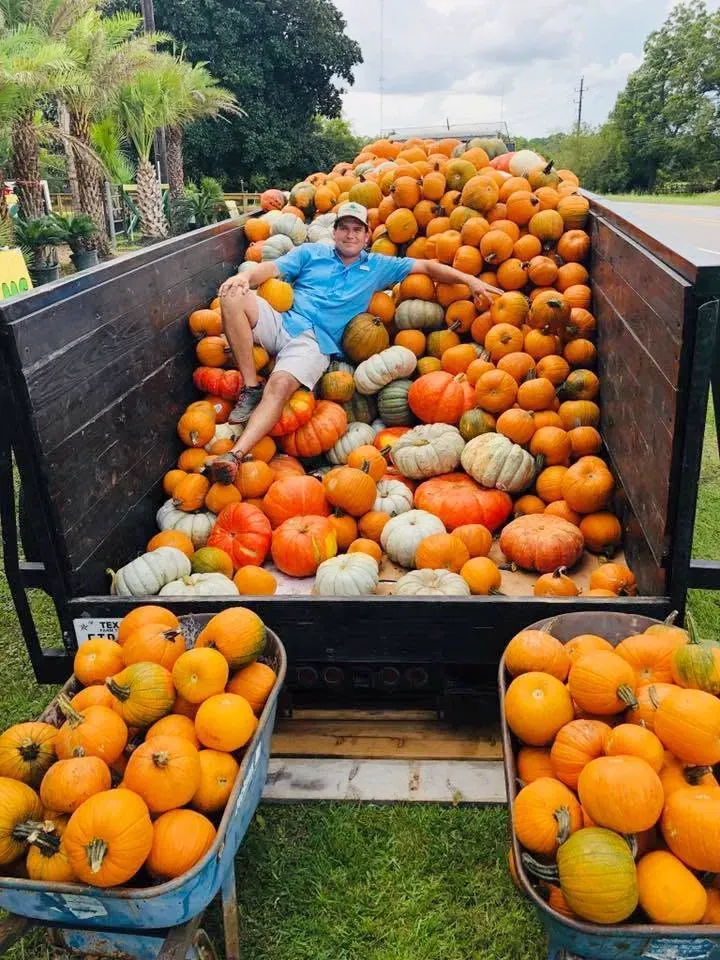 Person lying in a truck bed piled high with pumpkins and gourds, with bins of pumpkins in front