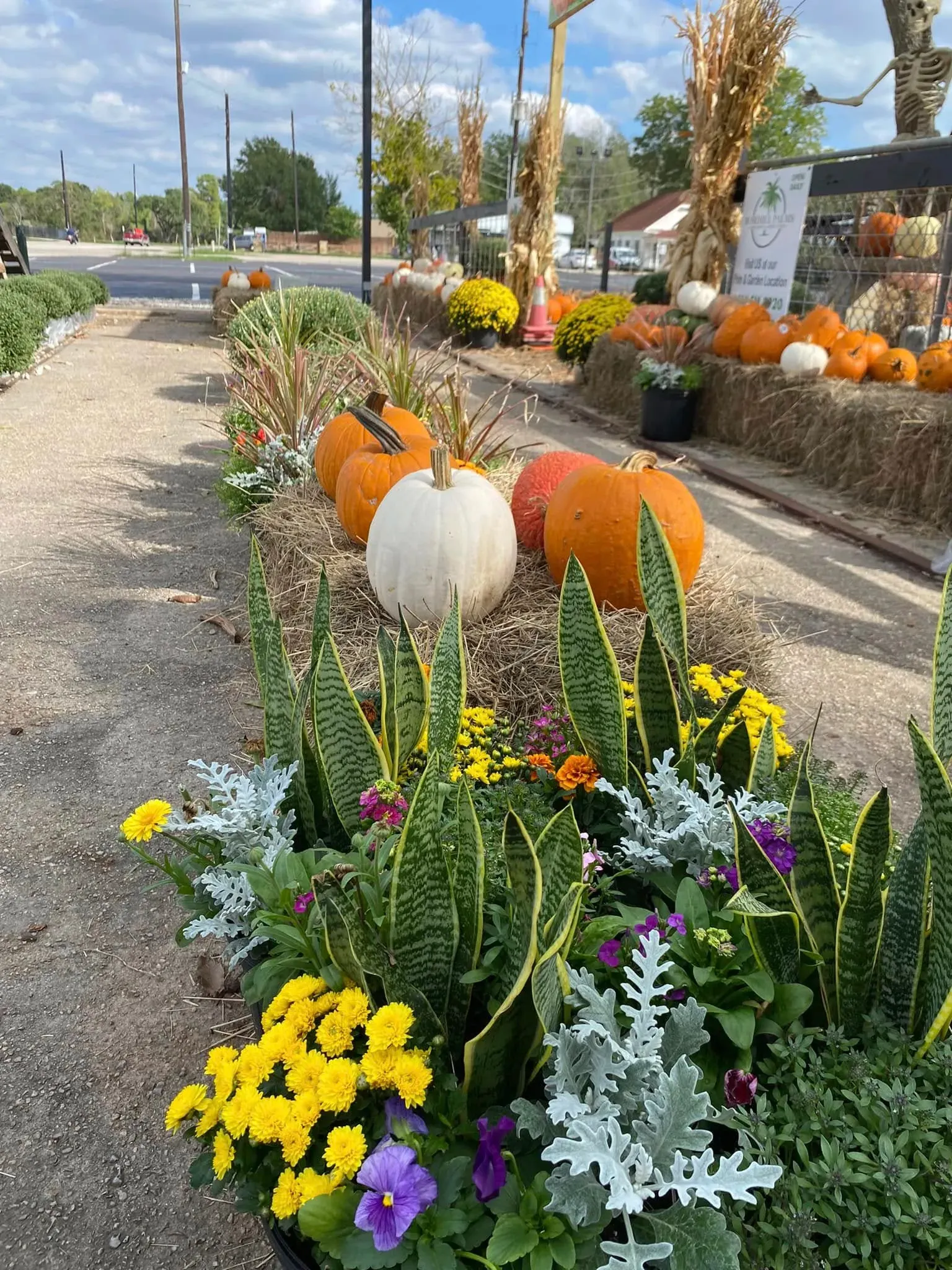 Pumpkins and fall flowers in a landscaped garden bed along a walkway under a bright sky