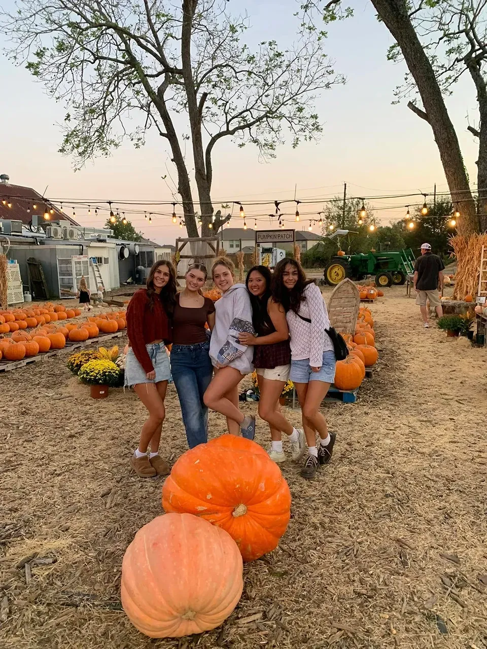Four friends posing among giant orange pumpkins at a pumpkin patch at sunset.