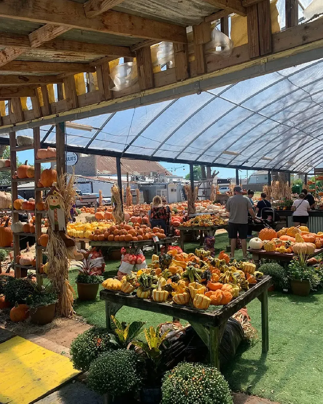 Indoor flower market with rows of orange and yellow plants under a glass roof