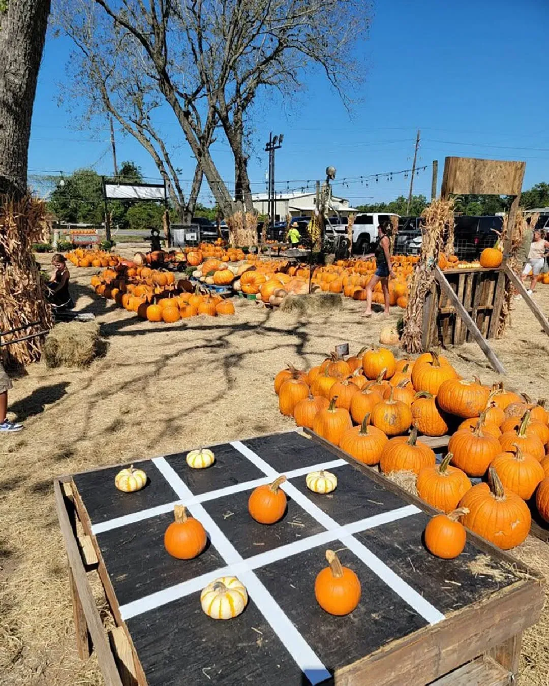 Pumpkin patch with orange pumpkins, hay bales, and a tic-tac-toe game board in the foreground