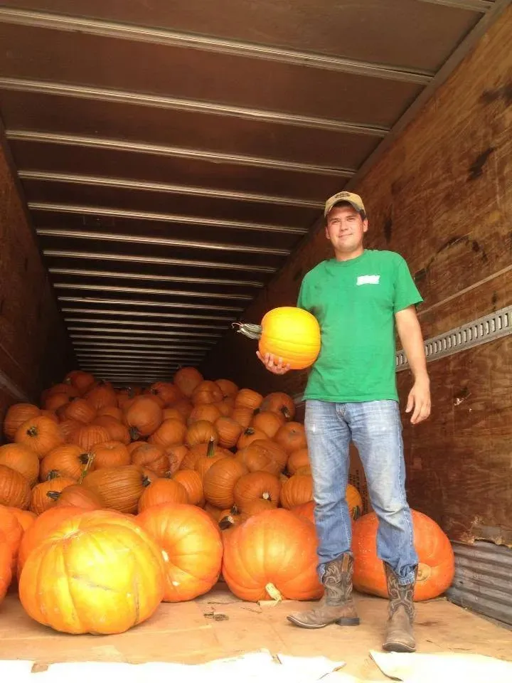 Person standing in a truck trailer full of pumpkins, holding a small pumpkin and wearing a green shirt.